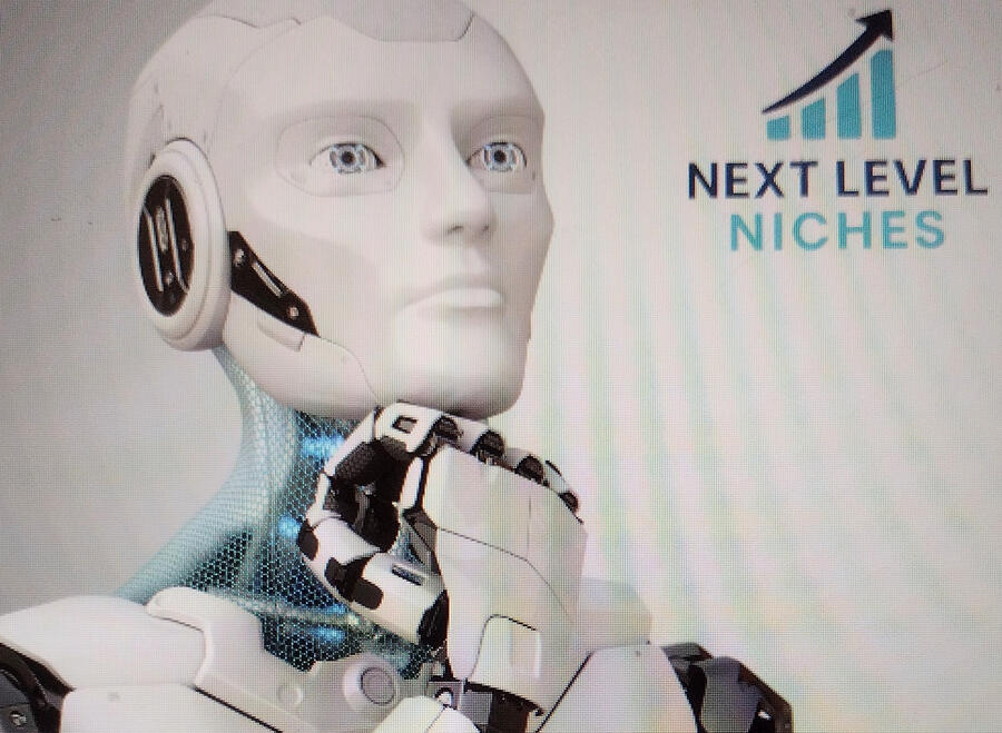 Next Level Niches Join the AI Revolution